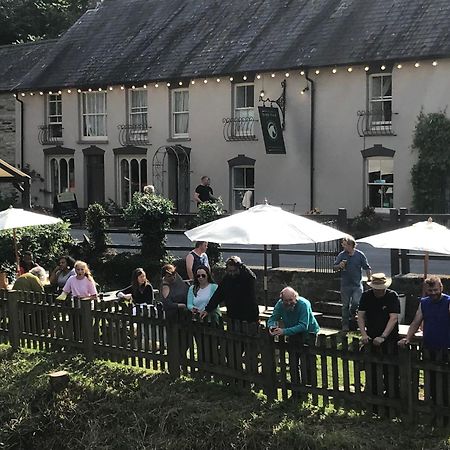 The Nags Head Inn Abercych Exterior photo